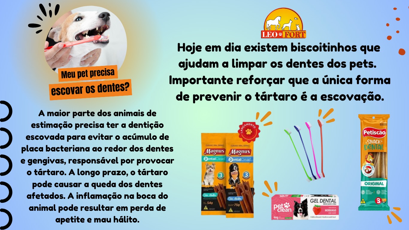 Publicidade Dicas - veja a importância de escovar os dentes do seu pet! ✨