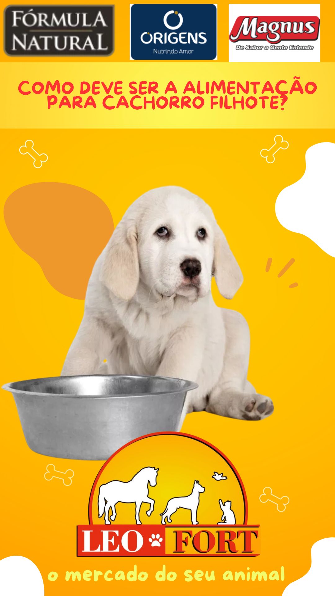 Publicidade Dicas Pet - Como Deve Ser A Alimentação Para Cachorro Filhote?