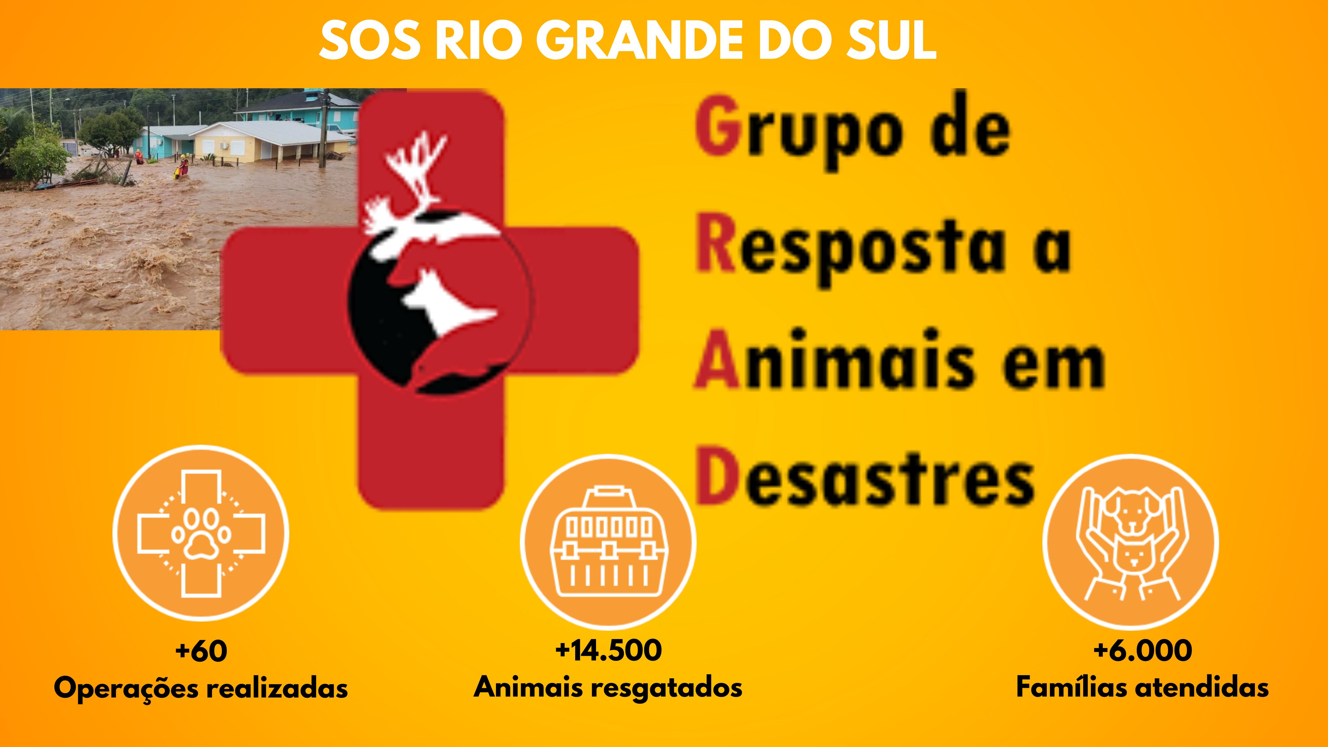 Publicidade S.O.S RIO GRANDE DO SUL - AJUDE A SALVAR AS VIDAS DOS ANIMAIS