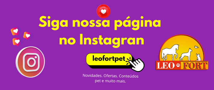 Slider SIGA NOSSO INSTAGRAN