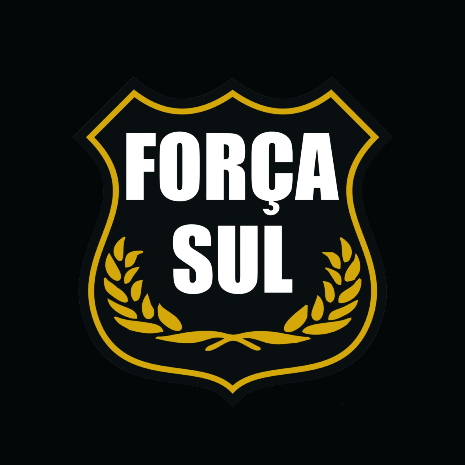 Publicidade Força Sul