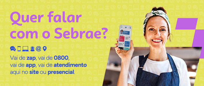 Publicidade Sebrae pi 217800