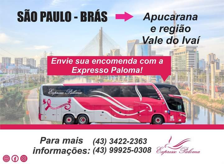 Publicidade Paloma ônibus