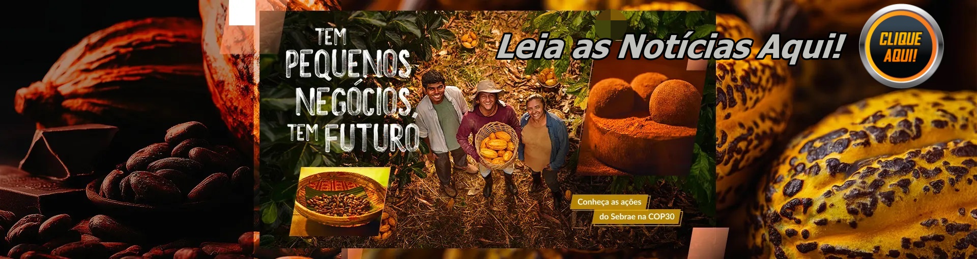 Radio , Jornal e TV On Line  Ativa ES 