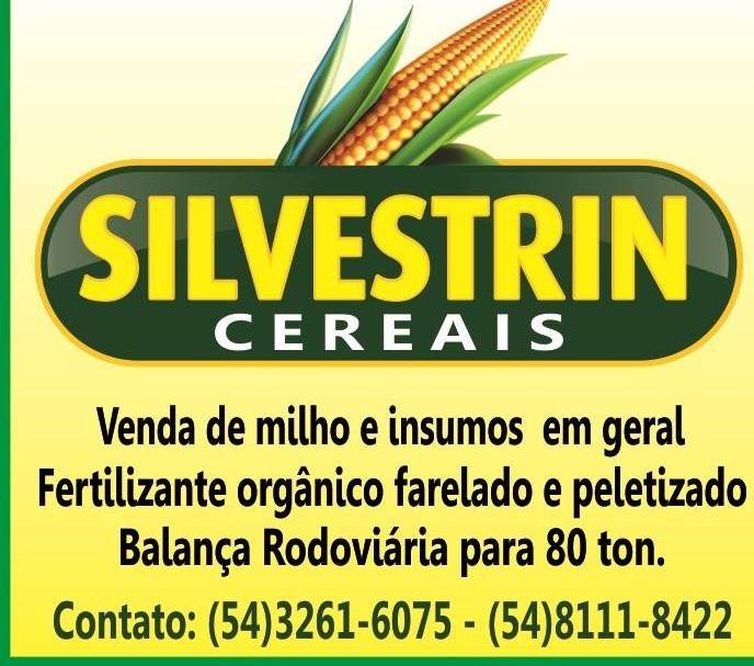 Publicidade silvestrin