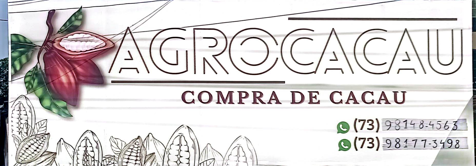 Slider AGROCACAU COMPRAS DE CACAU