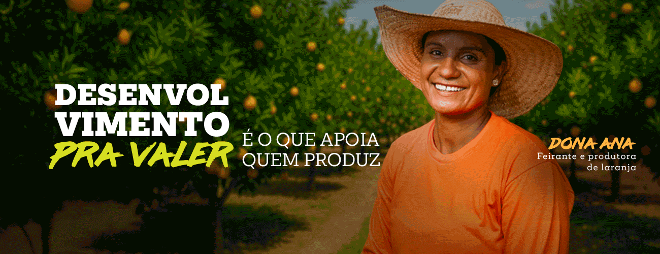 Publicidade Desenvolvimento pra valer