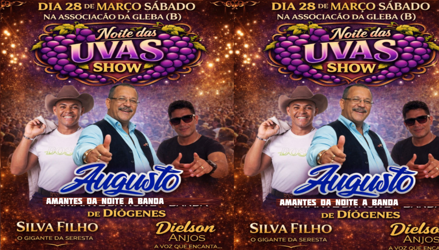 Slider Noite das uvas