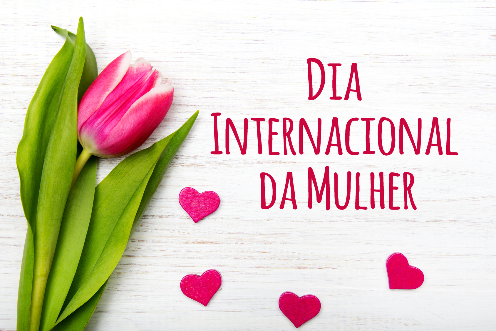 Slider DIA INTERNACIONAL DAS MULHERES