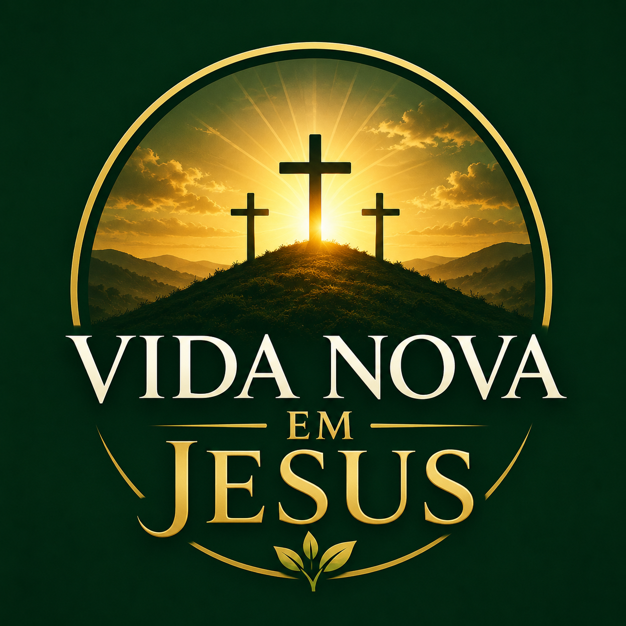 Vida Nova em Jesus 